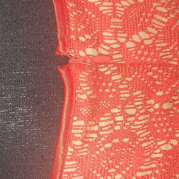 ❤️Evan Picone Women's Cap Sleeve  Lace Fit & Flare Dress - Tangerine Sz … - Picture 11 of 12